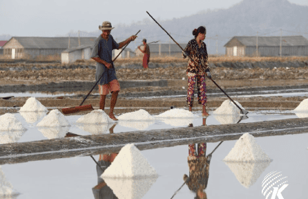 Salt fields kampot
